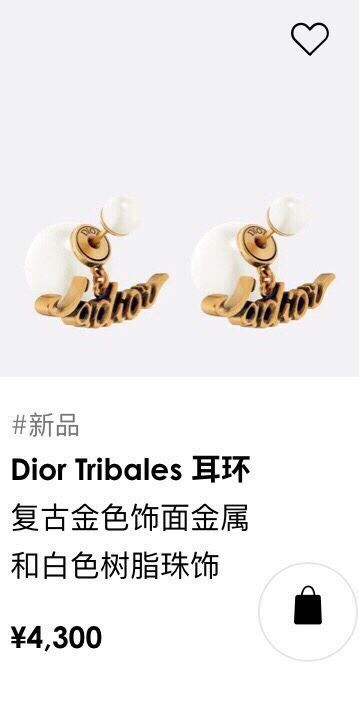 Christian Dior Earrings